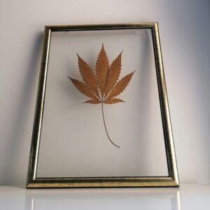 Cuadro transparente con hoja de María central